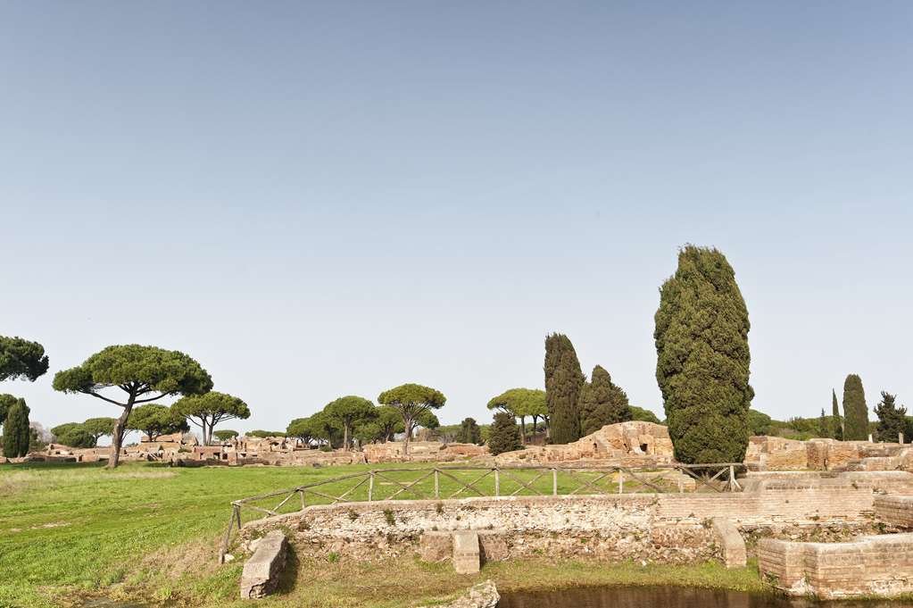 Smy Aran Blu Roma Mare (adults Only)
